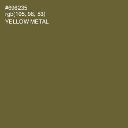 #696235 - Yellow Metal Color Image